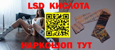 прущие крисы Кингисепп