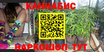 прущие крисы Кингисепп